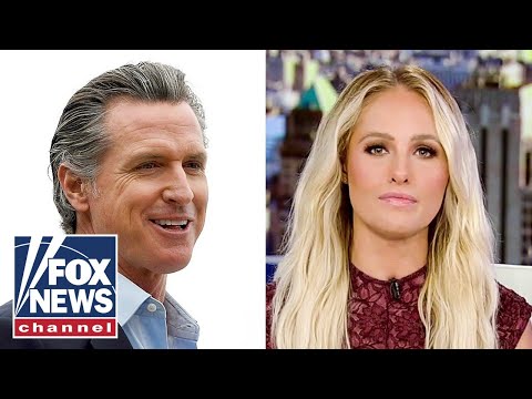 Tomi lahren's message to gavin newsom: they don't have rolling blackouts in florida