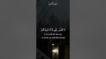 [part11] { فَلَا یَحۡزُنكَ قَوۡلُهُمۡ } #قرآن #القرآن_الكريم #سورة_يس #القارئ #مشاري_العفاسي #quran