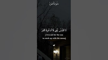 [part11] { فَلَا یَحۡزُنكَ قَوۡلُهُمۡ } #قرآن #القرآن_الكريم #سورة_يس #القارئ #مشاري_العفاسي #quran