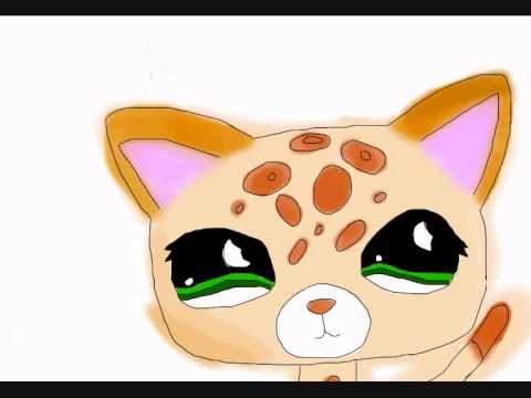 lps shorthair cat leopard