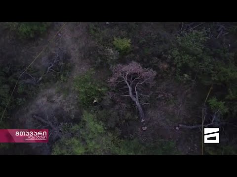 დაკარგული ავსტრალიელი ქალი გარდაცვლილი იპოვეს