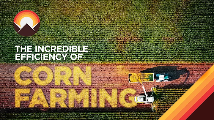 The Incredible Logistics Behind Corn Farming - DayDayNews