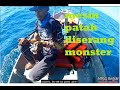 Fishing Trip 02 Reel Disaster, attacked by Monster Marlin. Ngolok Tenggiri