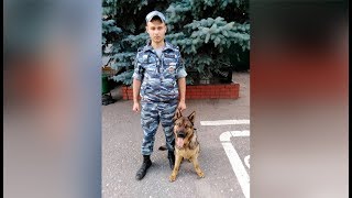 Собака помогла добринским полицейским раскрыть 9 преступлений за полгода