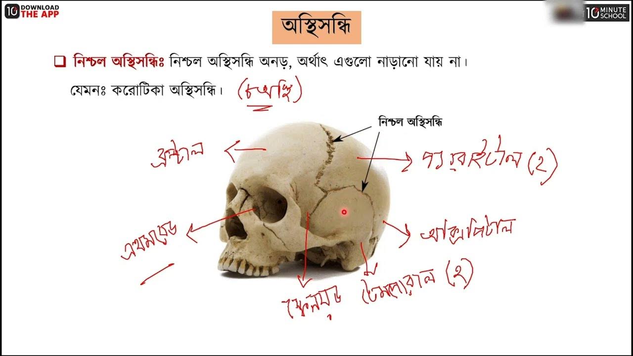 Aleksandra Zaxarovaning yalangoch fotosuratlari XXX Ayollar janglari forumi