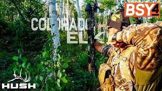 BSY | COLORADO ARCHERY ELK PT 2 | S4E09 screenshot 5