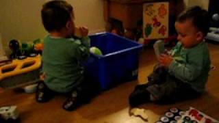 20100108_479.AVI