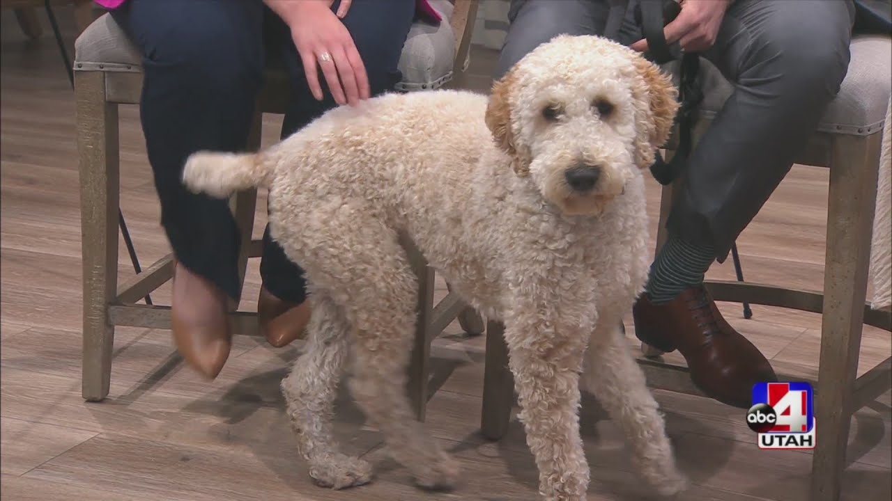 Legacy House of Bountiful YouTube