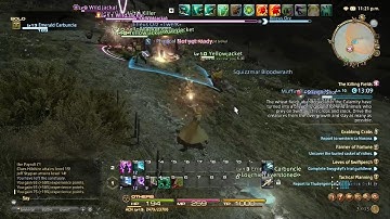 Final Fantasy XIV: A Realm Reborn (Arcanist Part 6)