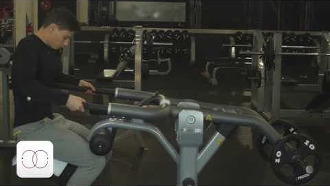 Seated Dip Precor Discovery Strength