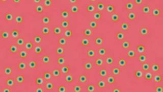 Gray Scott F780 k630 fr293