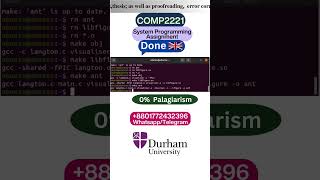 Student Work (Assignment) | COMP2221 Dynamic Library  Langton’s Ant Coding | Durham University, UK