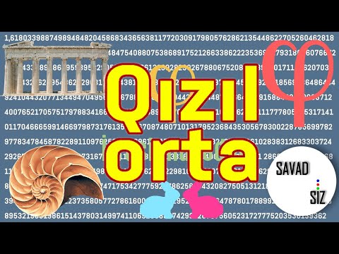 Video: Qızıl dünyada ilk dəfə necə kəşf edilib?