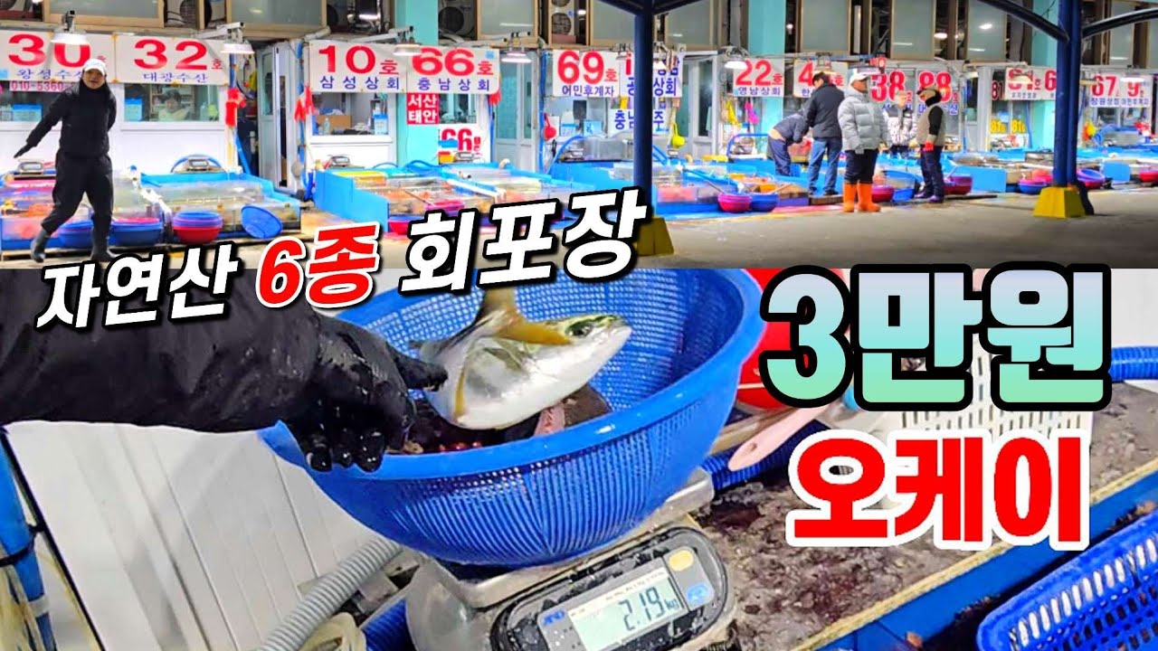 겨울에 속초오시면 '꼭' 맛볼 가격저렴! 맛최고! 덤까지 챙겨주는 어판장~  3만원만 주세요~