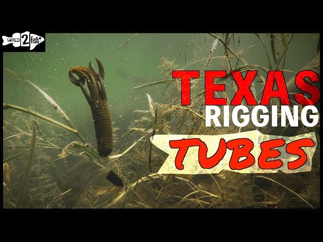 The Texas Rig  How to Rig and Fish - Wired2Fish