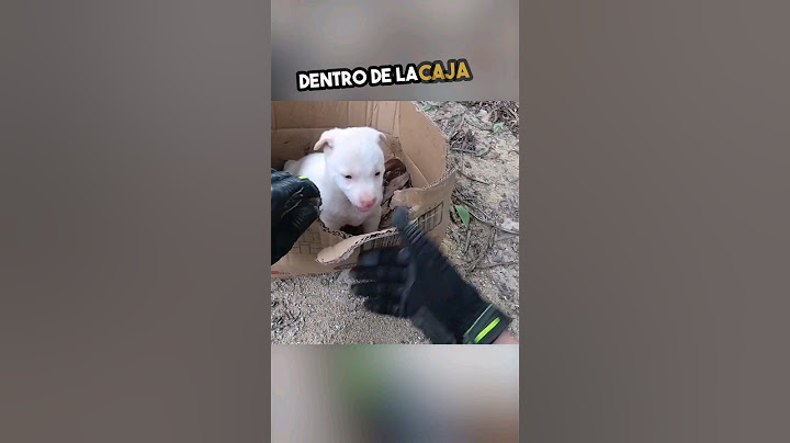 The Saddest Story You'll See Today... 💔🐾