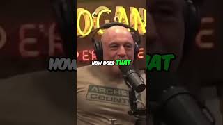 Famous Joe Rogan Accuses Nancy Pelosi of Being Corrupt? Profile