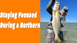 Strategies for Fishing a Northern by KWigglers Fishing 2,473 views 2 months ago 12 minutes, 40 seconds