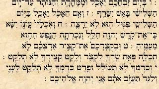 ראשון פרשת קדושים
