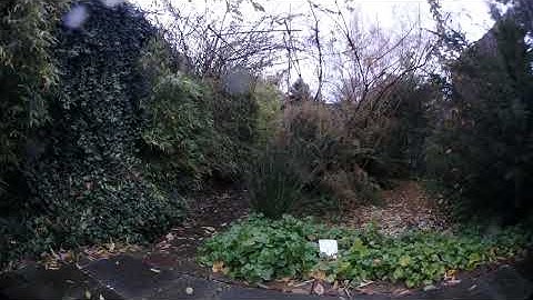 The boring garden #054