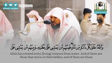 والله خلق كل دابة من ماء فمنهم من يمشي على بطنه ومنهم من يمشي على رجلين  تلاوة الشيخ ماهر المعيقلي