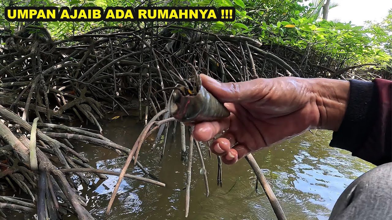 Saya coba mancing pakai umpan ajaib ini !!!