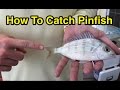How to Catch Pinfish for Bait Without a Cast Net or a Pinfish Trap (Full Instructions)