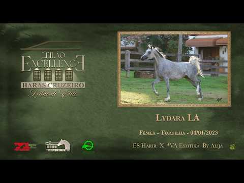 LOTE 10 - LYDARA LA