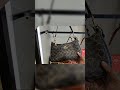 Why the Coach Terry Hobo Bag is ALWAYS in Style!
