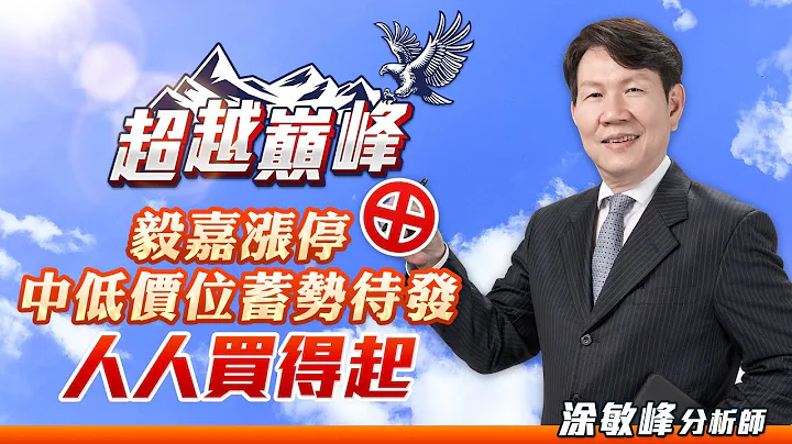 毅嘉涨停 中低价位蓄势待发 人人买得起｜20230321｜涂敏峰 分析师｜超越巅峰 - 天天要闻