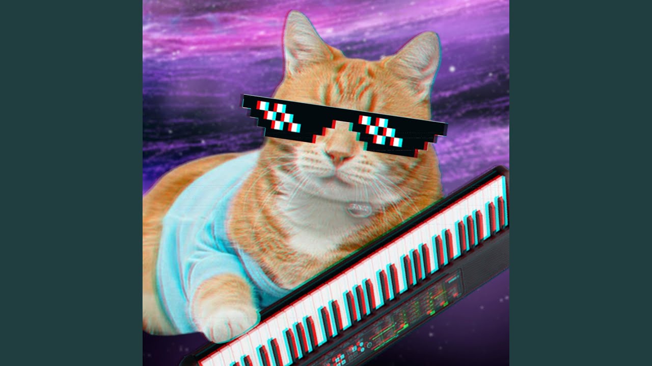 Watch Keyboard Cat on YouTube Watch Keyboard Cat on YouTube