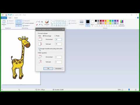 Video: Een Afbeelding Bijsnijden In Paint