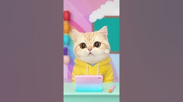 Are you OK?  你好嗎?    Teacher Cat is here   貓老師來了