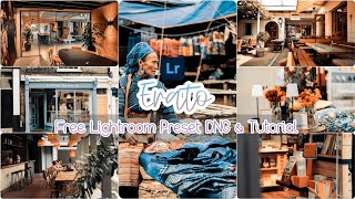Free Lightroom Preset | DNG & Tutorial #Erato screenshot 4