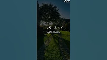 ونريد أن نمن على المستضعفين | تلاوة هادئة من سورة القصص | الشيخ محمد صديق المنشاوي #قرآن