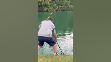 The BEST Way To CATCH Channel Catfish!! #shorts #fishing