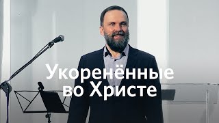 Укоренённые во Христе | Михаил Заболотских