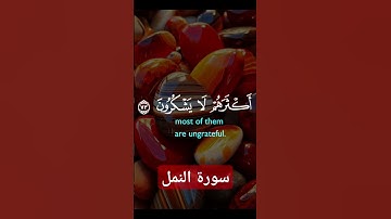 سورة النمل #quran #دويتو #دعاء #duet #صباحالخير #حالات_واتس #دعاءمستجاب #تيك_توك #حالاتواتس #لايك