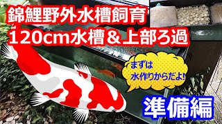 錦鯉 野外水槽飼育1cm水槽 上部ろ過 準備編 Youtube