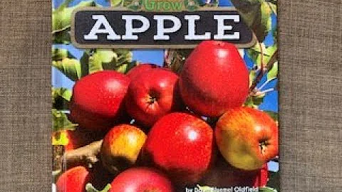 Apple- See it Grow