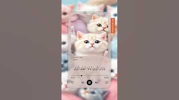 سورة سبأ ♥️🌸 #قرآن_كريم #ارح_قلبك #تلاوة_خاشعة #تيك_توك #ترند #اكسبلور #المصحف #دويتو #ترند_تيك_توك