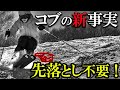 【暴露】コブの新事実!板のトップを先落としするな!!