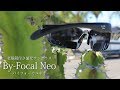 By focal Neo (老眼鏡付き偏光サングラス) 紹介1分動画