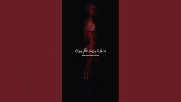 عبد الباسط عبد الصمد تلاوة خاشعة حالات واتس اب دينية