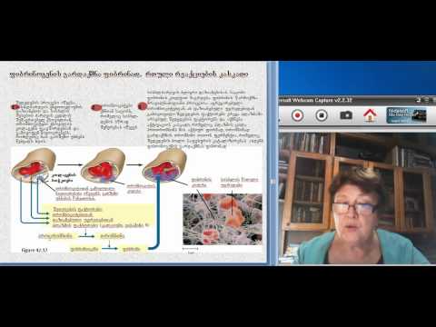 ფუნქციურ სისტემათა ფიზიოლოგია, 3(2)