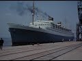 s.s. Nieuw Amsterdam, Holland America Line - Interior - All the cats join in