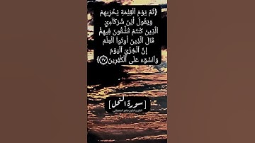 سورة النحل الآية ٢٦ و ٢٧ بصوت الشيخ ماهر المعيقلي #القران_الكريم #القران_الكريم_في_الصباح