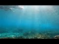 Malaysia beach ||sea ||water || Malaysia best #beach #shortvideo #nooruzzaman_life #shorts #shorts