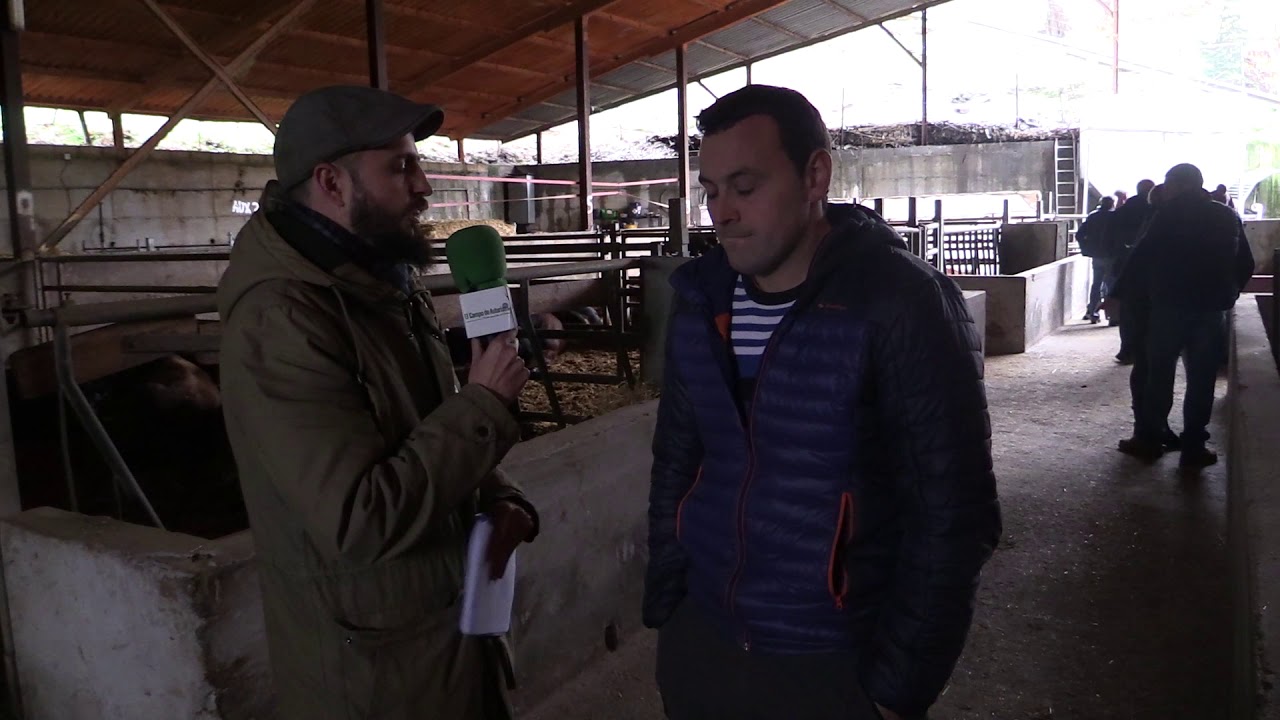 Entrevista Noé Rodríguez / El Campo de Asturias