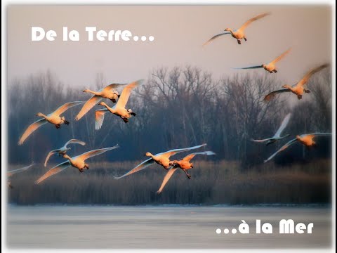 De la Terre…Score - 1 à 10